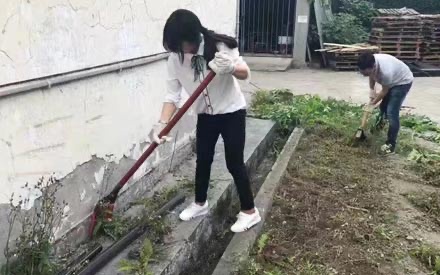 五?四青年節 廠青年員工揮灑汗水
